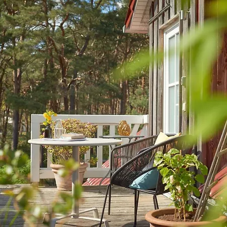 Appartement Sommerhaus Thiessow 2 - A62770 Thiessow